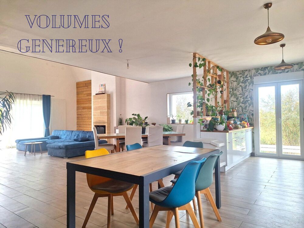 MAISON 10 pièces proche ANCENIS