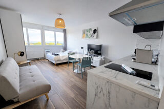 Appartement � vendre 1 pi�ce 29 m�