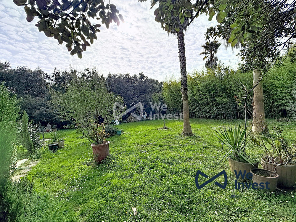 Vente Maison Maison à vendre Castelnau-le-Lez Castelnau-le-lez