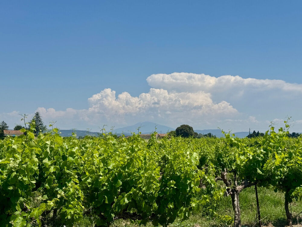 Vente Maison Maison de campagne avec vue Rochegude