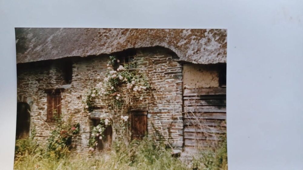 MAISON A RECONSTRUIRE OU TERRAIN DE LOISIR