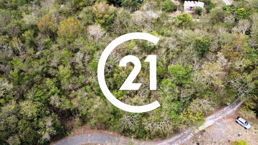 Vente Terrain Terrain boisé à vendre – Les hauteurs des Anses-d'Arlet ? Les anses-d'arlet