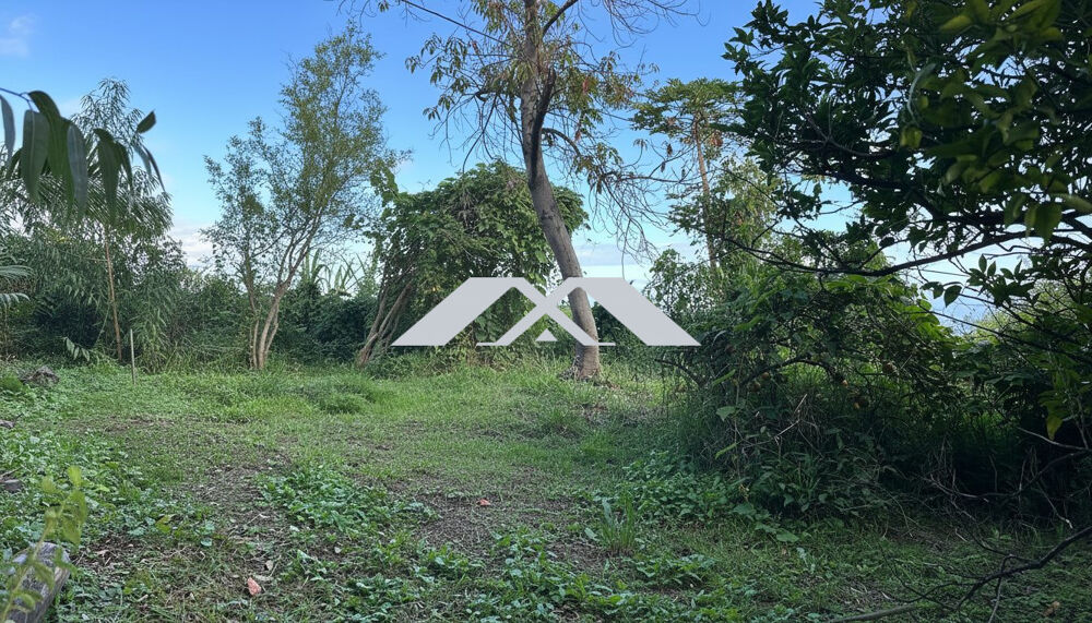 Vente Terrain Terrain constructible 541 m² utiles Trois-Mares Le tampon