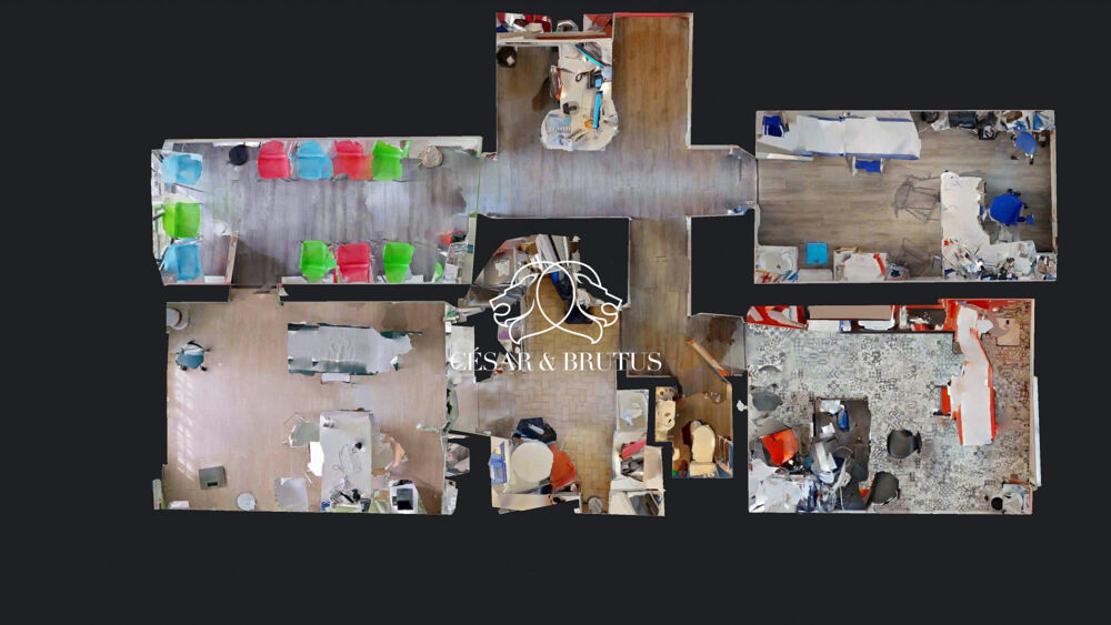   Immobilier Professionnel à vendre Caluire-et-Cuire Caluire-et-cuire