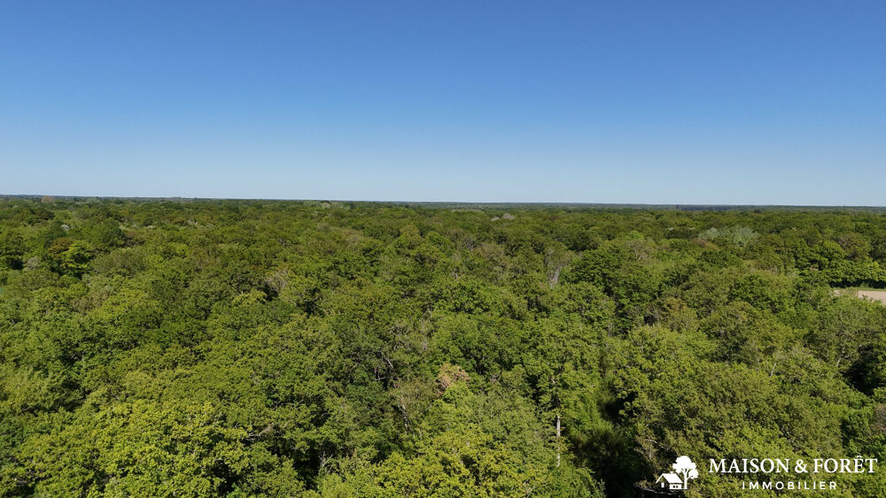   FORÊT de 38 ha 