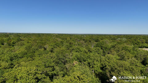 FOR&Ecirc;T de 38 ha 400000 45250 Ouzouer-sur-trézée