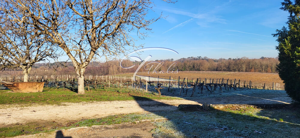 Vente Maison SECTEUR COTE DE BOURG Bourg