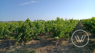  Terrain � vendre 91585 m�