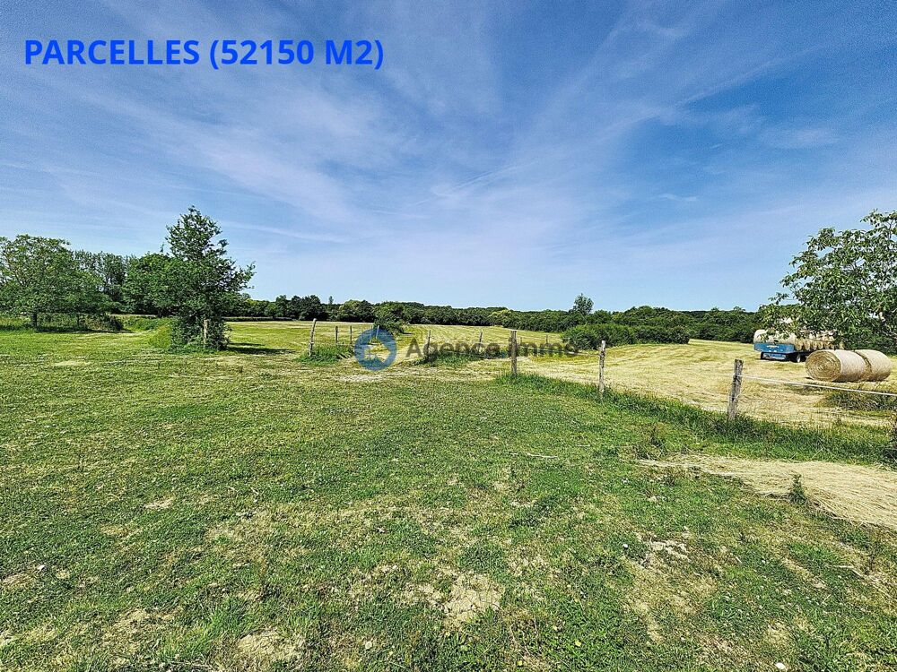 à vendre  Maison Neuillé-Pont-Pierre (37360)