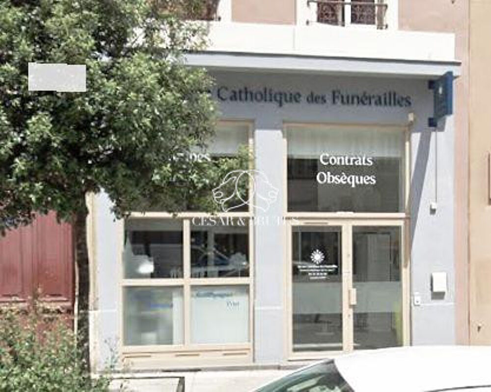   Immobilier Professionnel à louer Villeurbanne 