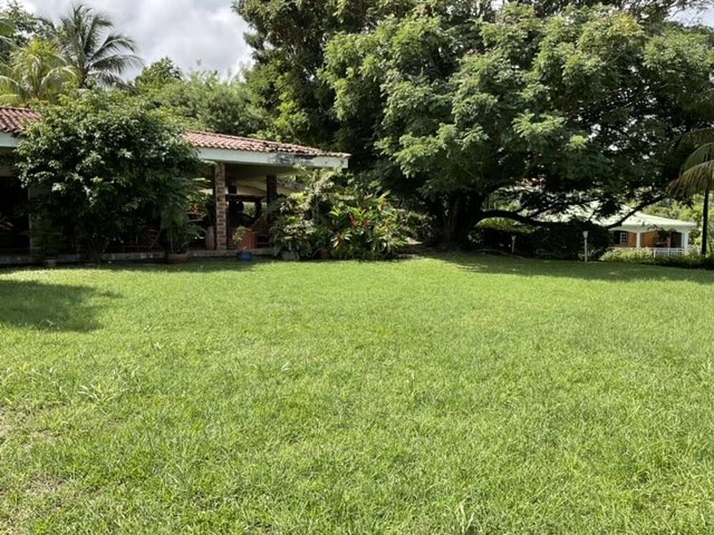 Vente Maison Maison T4 280 m2 habitable sur terrain arboré de 3 225 m2 à ac Sainte-marie