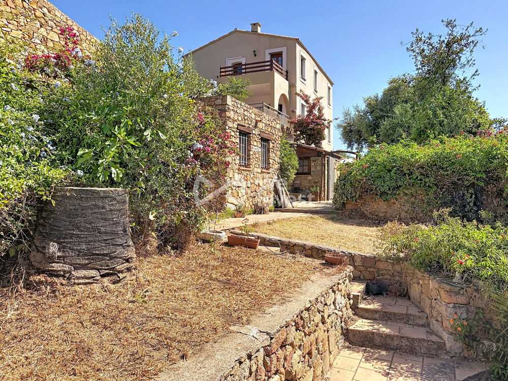 à vendre  Maison Calvi (20260)
