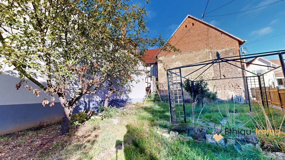 Vente Maison Maison avec terrain et grange Bouxwiller