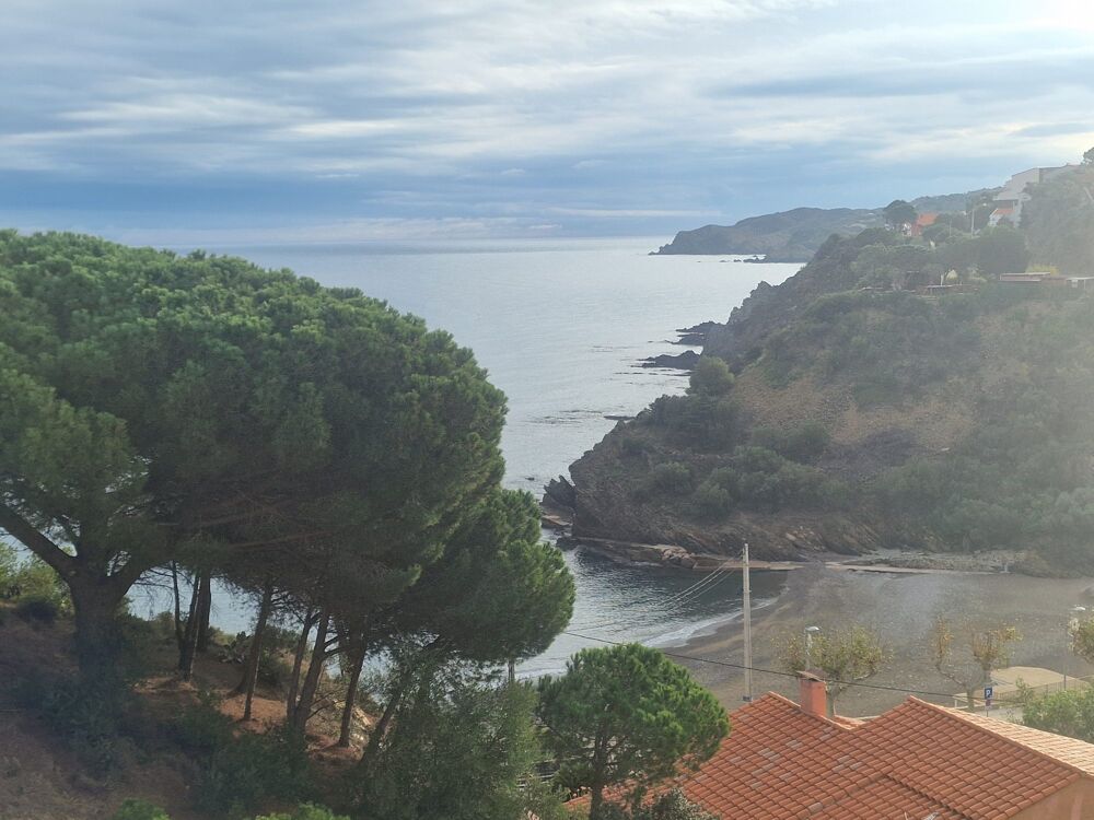 Vente Appartement la perle de banyuls Banyuls-sur-mer