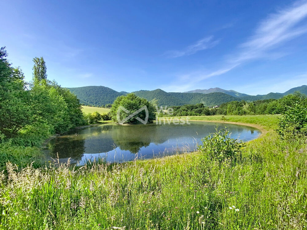 Vente Maison Corps de ferme avec son étang Asson