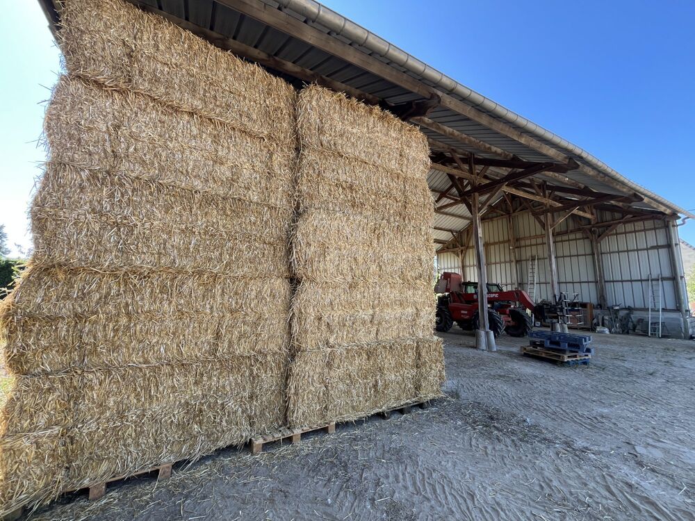 Vente Maison Ancien corps de ferme à rénover . Terrain de 3700 m2 environ. Saint-clair-sur-epte