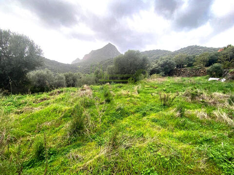   OSANI – Terrain à bâtir 2 134 m² – Environnement naturel 