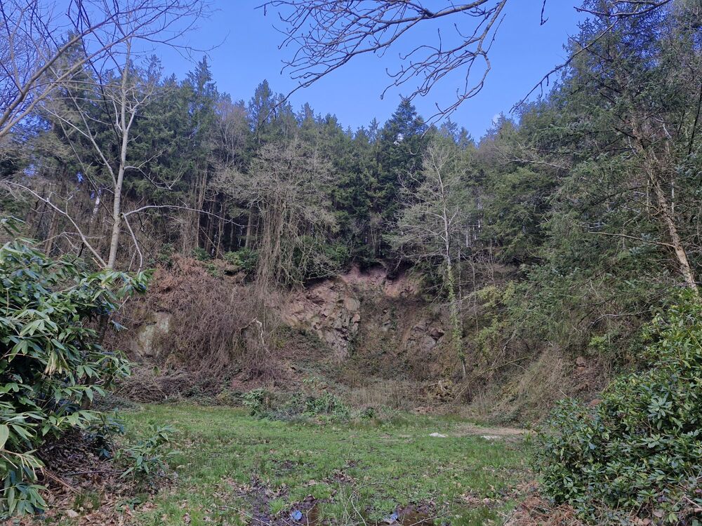 Vente Terrain BOIS Torigny-les-villes
