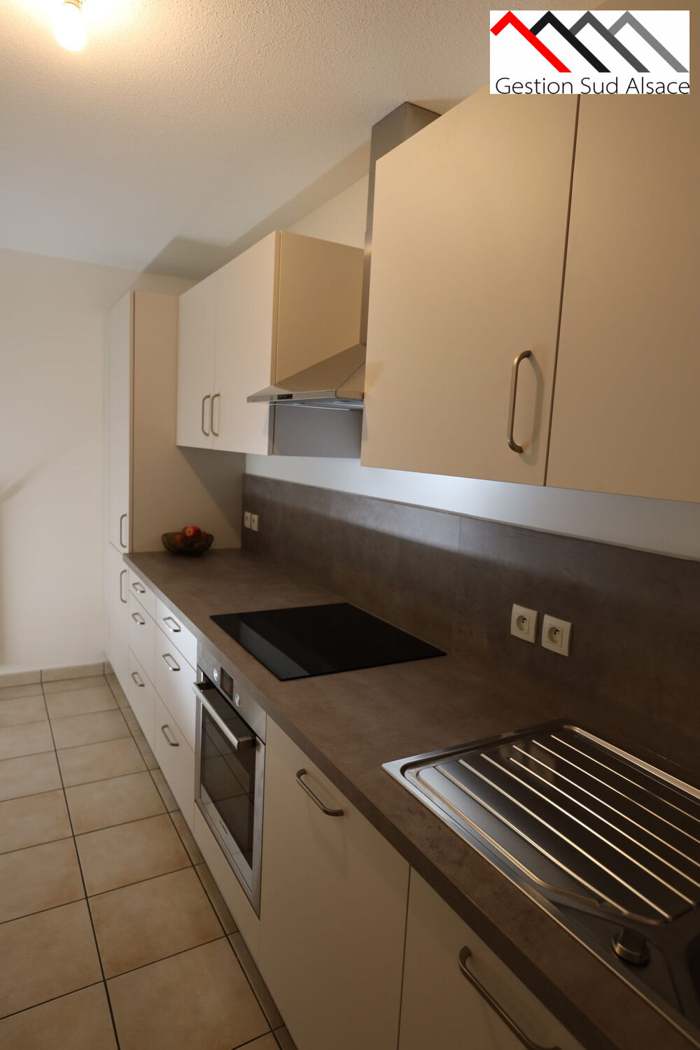 Location Appartement F2 Récent avec Terrasse + garage Bartenheim