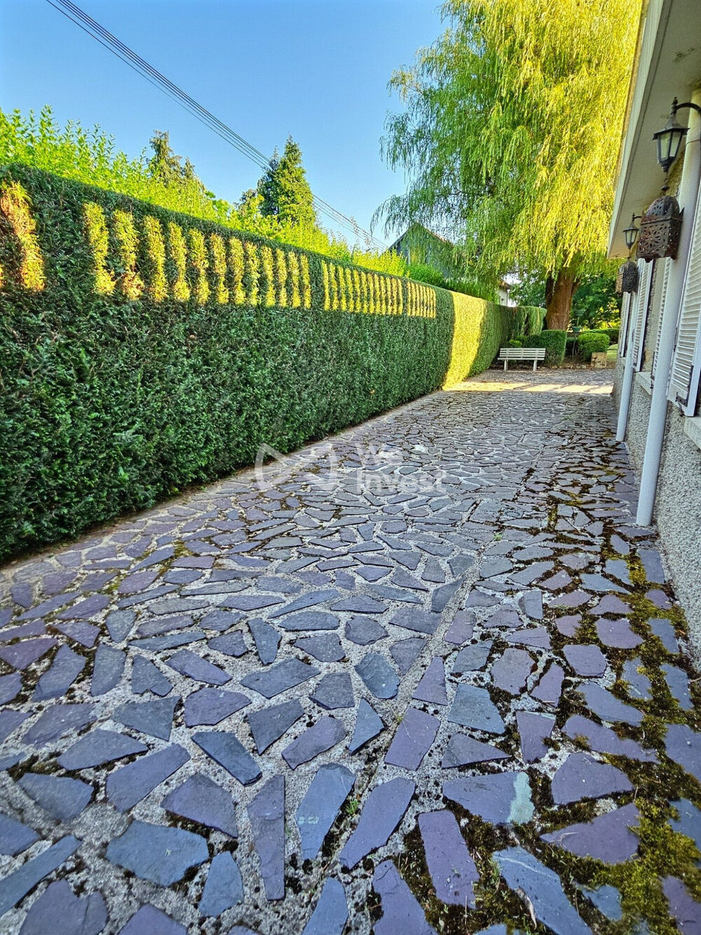 MAISON 328 m²  DOUZY (08140)