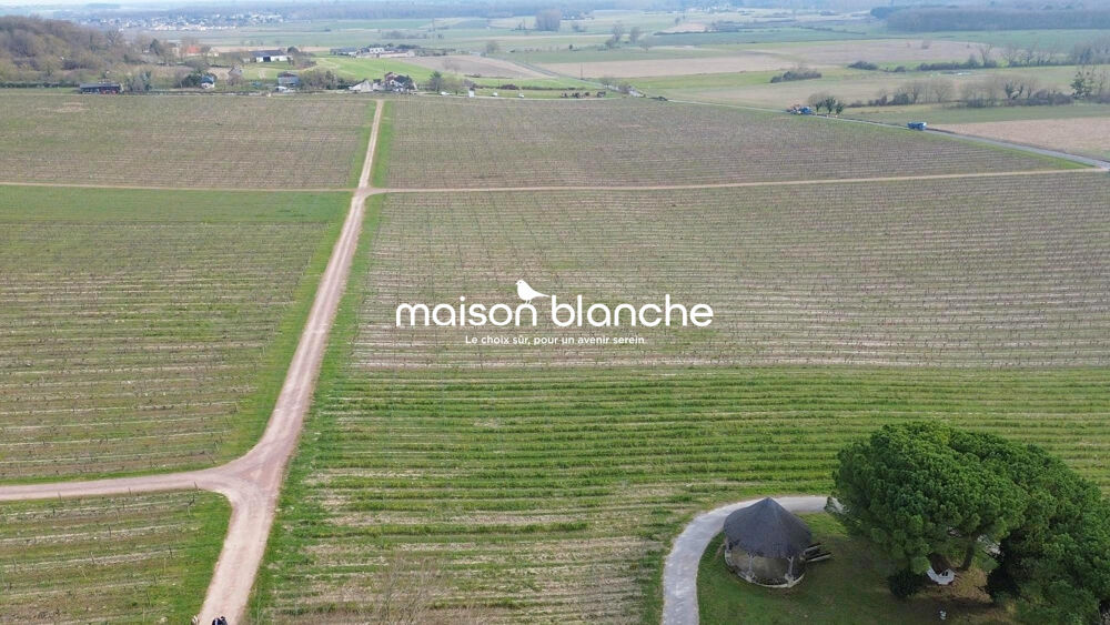 à vendre  Propriété/château Saumur (49400)
