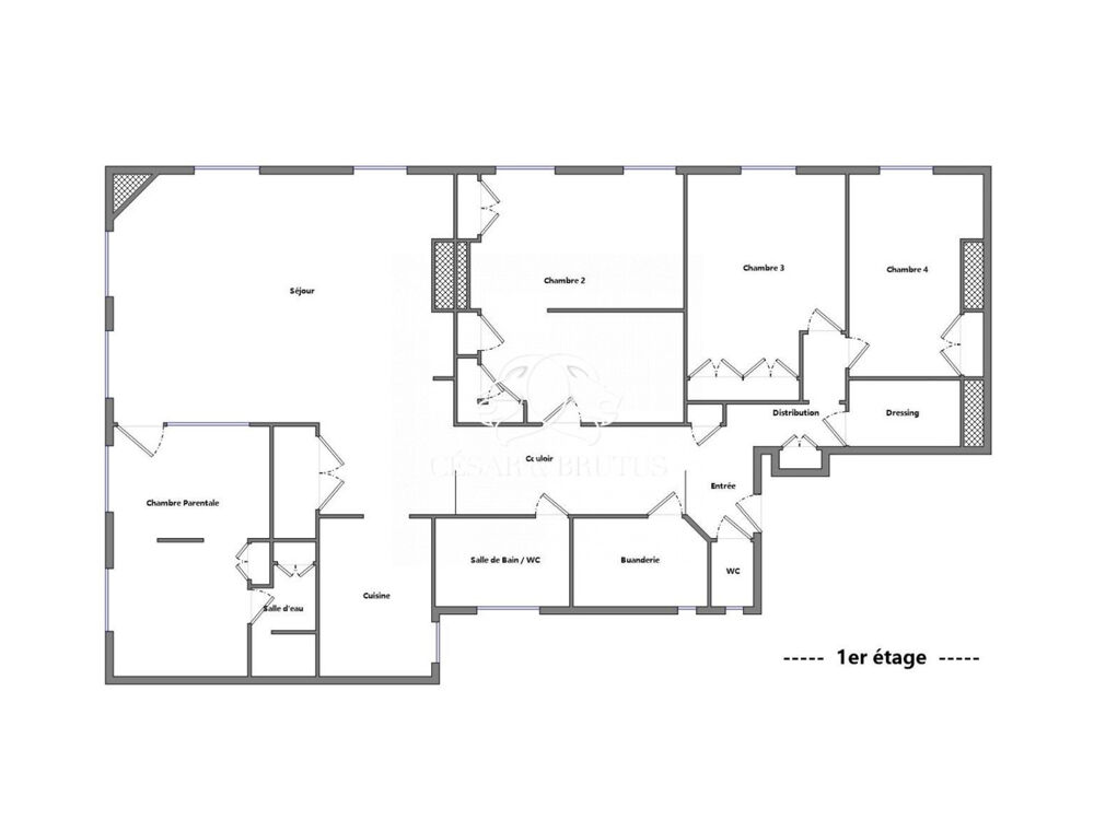 à vendre  Appartement Lyon 2