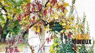  Maison � vendre 11 pi�ces 297 m�