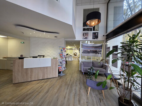   Immobilier Professionnel à louer Lyon 