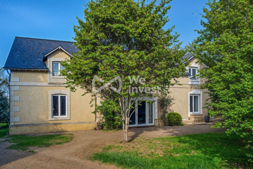 � vendre  Propri�t�/ch�teau Faye-la-Vineuse (37120)