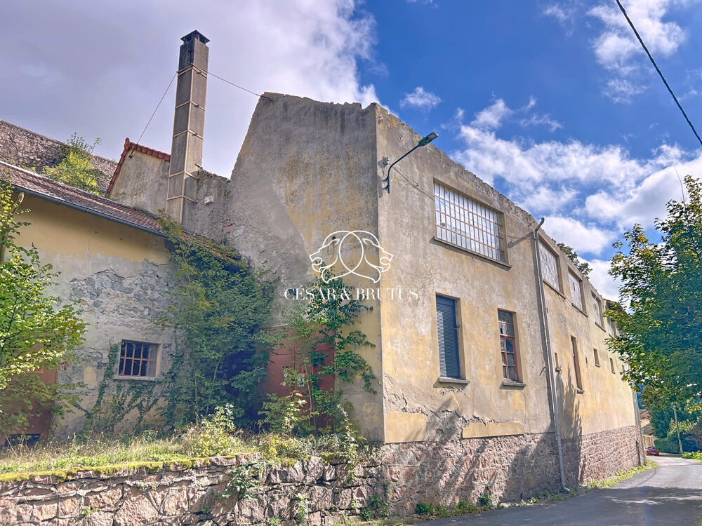 Vente Immeuble Entrepot à diviser pour habitation avec extérieur et vue Thizy-les-bourgs