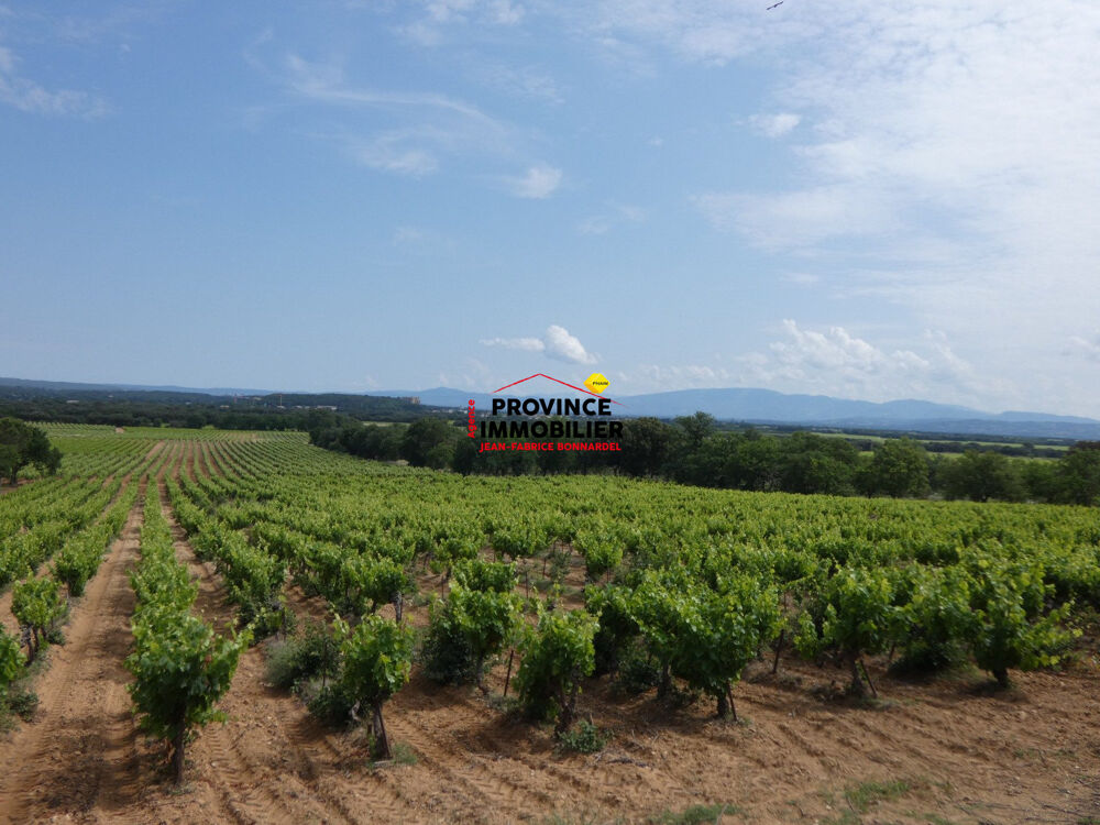 Vente Terrain PARCELLE DE VIGNES CEPAGE GRENACHE ET CARIGNAN Rochegude