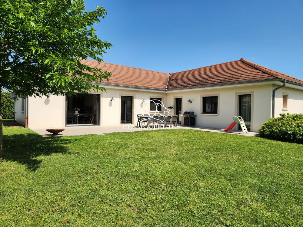 à vendre  Maison Rillieux-la-Pape (69140)