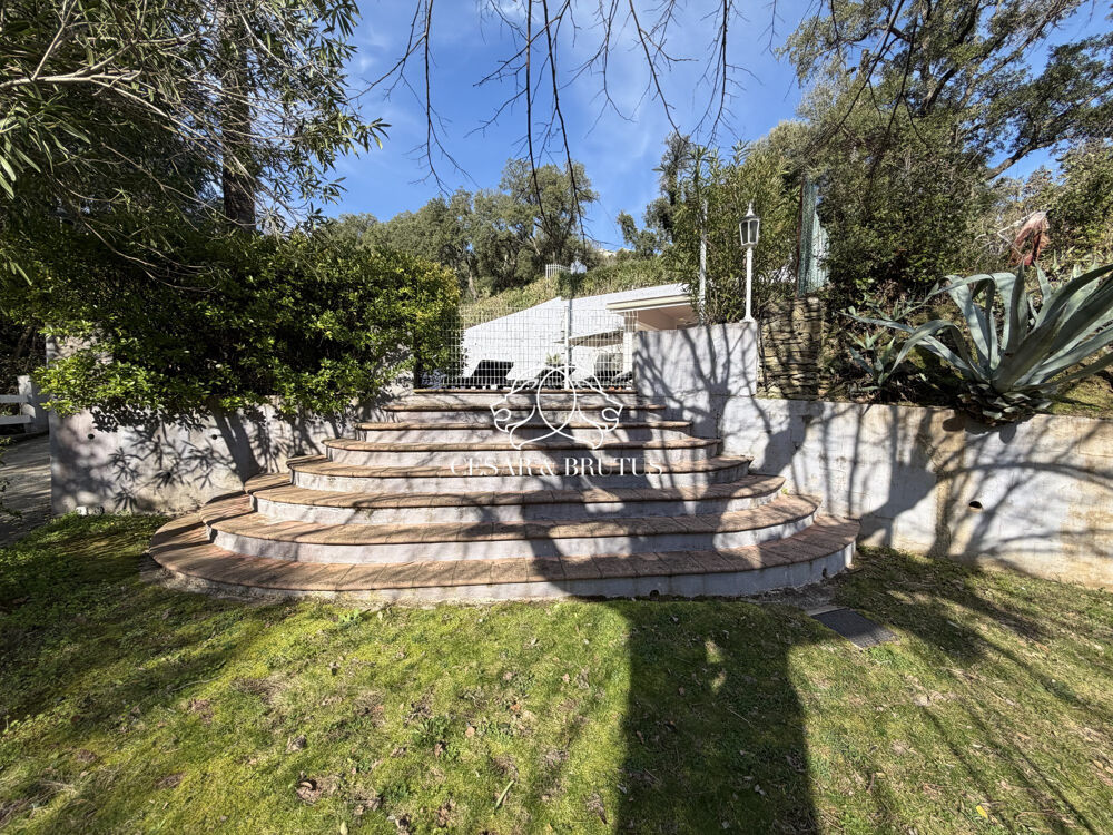 à vendre  Maison Borgo (20290)