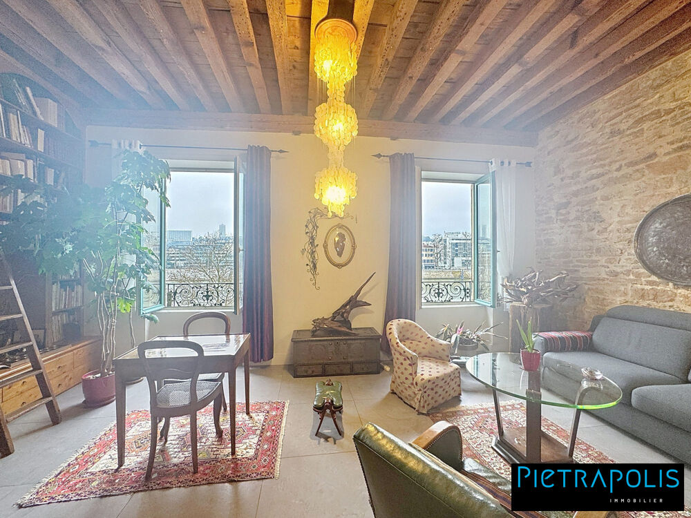 MAGNIFIQUE DUPLEX VUE SAONE