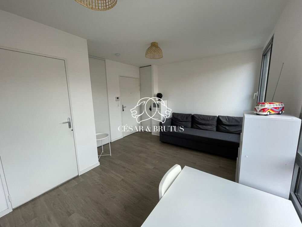 Studio - 20m2