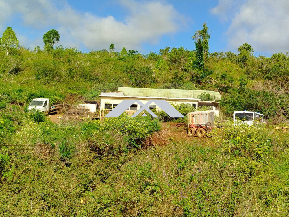 Vente Terrain Terrain agricole de 7 hectares avec bâtiments et vue panoramiqu Saint-benoît