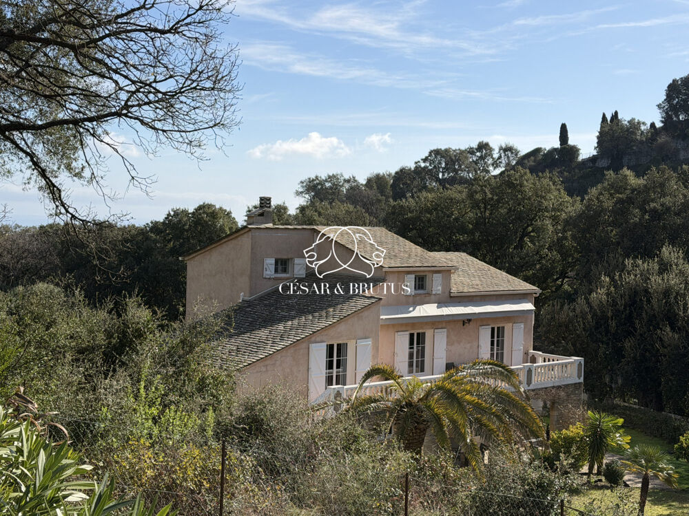 à vendre  Maison Borgo (20290)