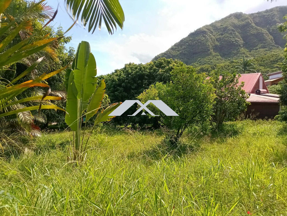 Vente Terrain Terrain constructible 350 m² Entre Deux Entre-deux