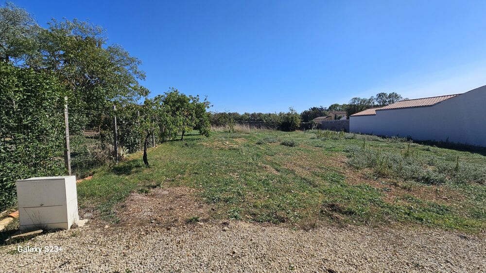   Terrain à vendre Niort Niort