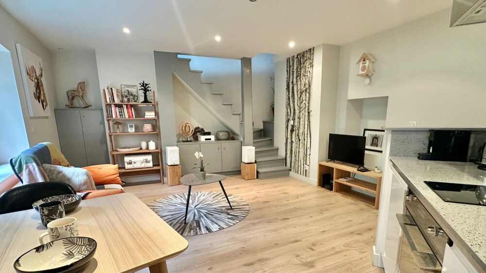 Duplex de charme Annecy vielle ville !