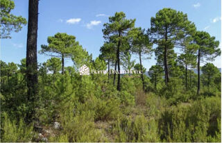  Maison � vendre 5 pi�ces 154 m�