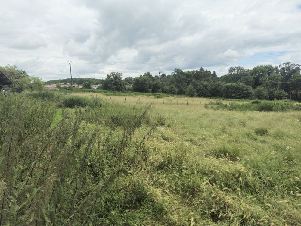 Vente Terrain Très grand terrain d'activité de 2 Hectares situé proche de F Aureil