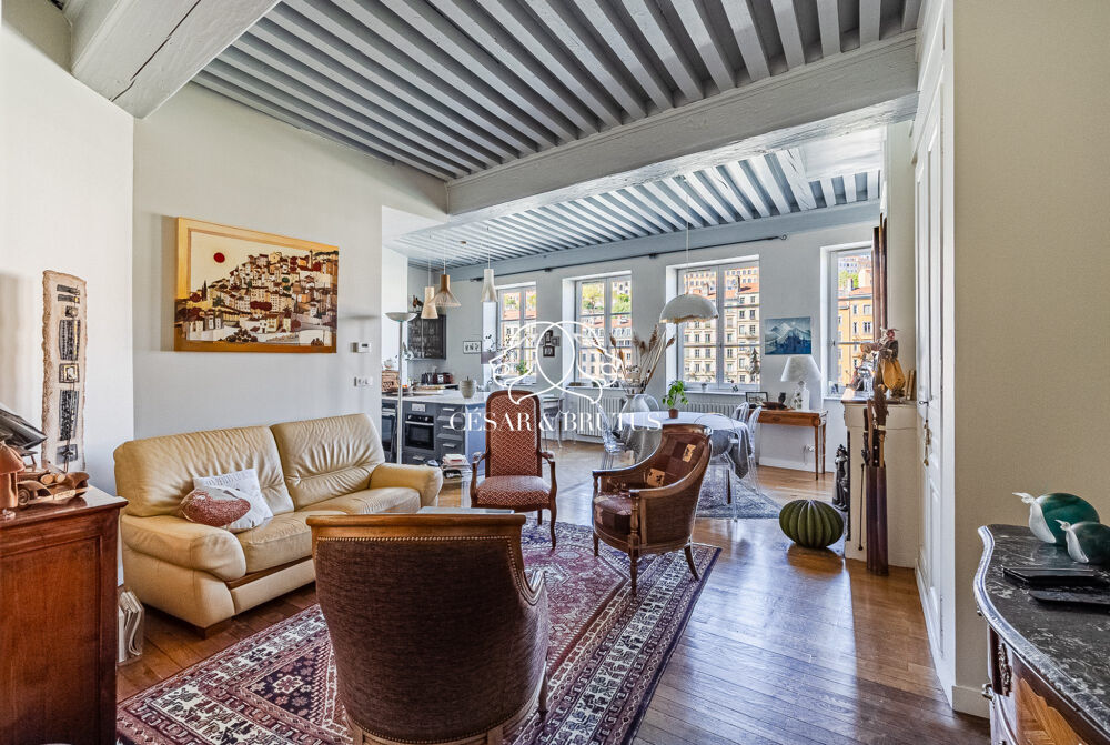 Superbe appartement de charme  Quai Pierre-Scize, à deux pas