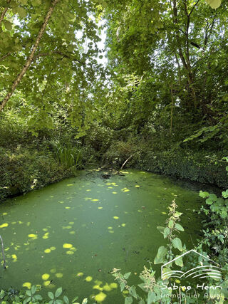  Terrain � vendre 6238 m�