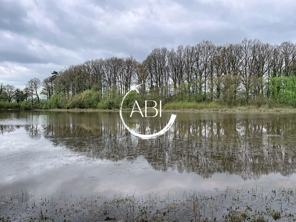 Vente Terrain Sur 7.14 ha, bois et étang de 2 ha Tessé-froulay