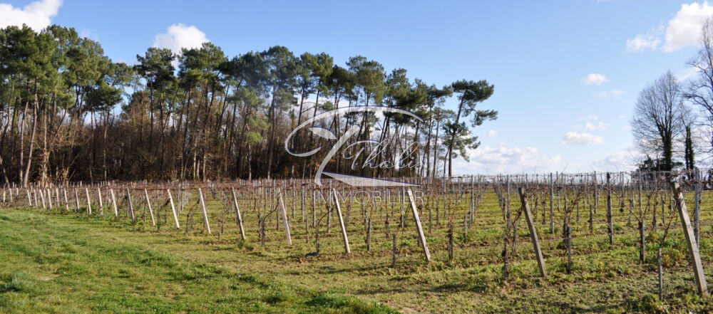 Vente Maison SECTEUR COTE DE BOURG Bourg