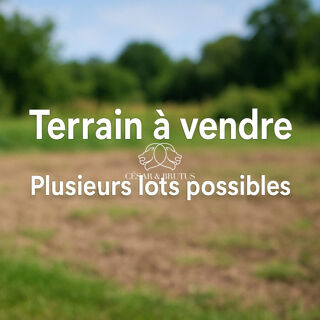  Terrain  vendre 3155 m