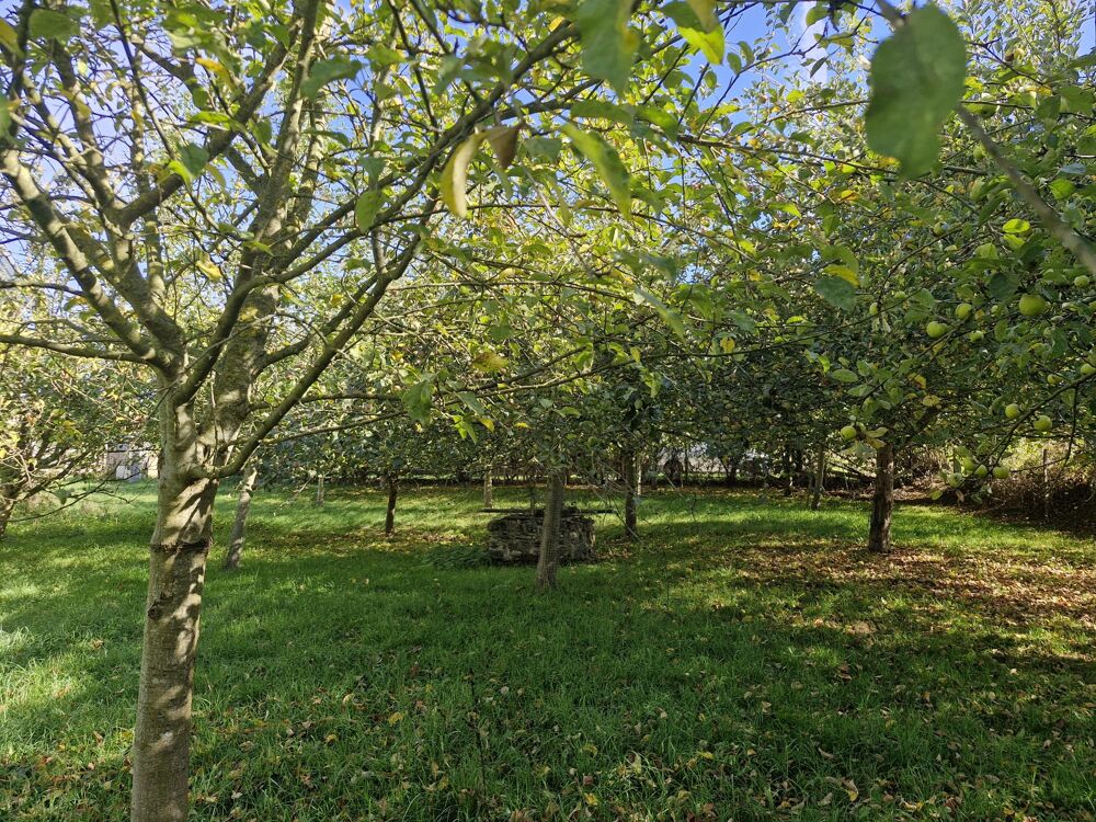 Vente Maison VERGER AVEC BATIMENT Valdallière