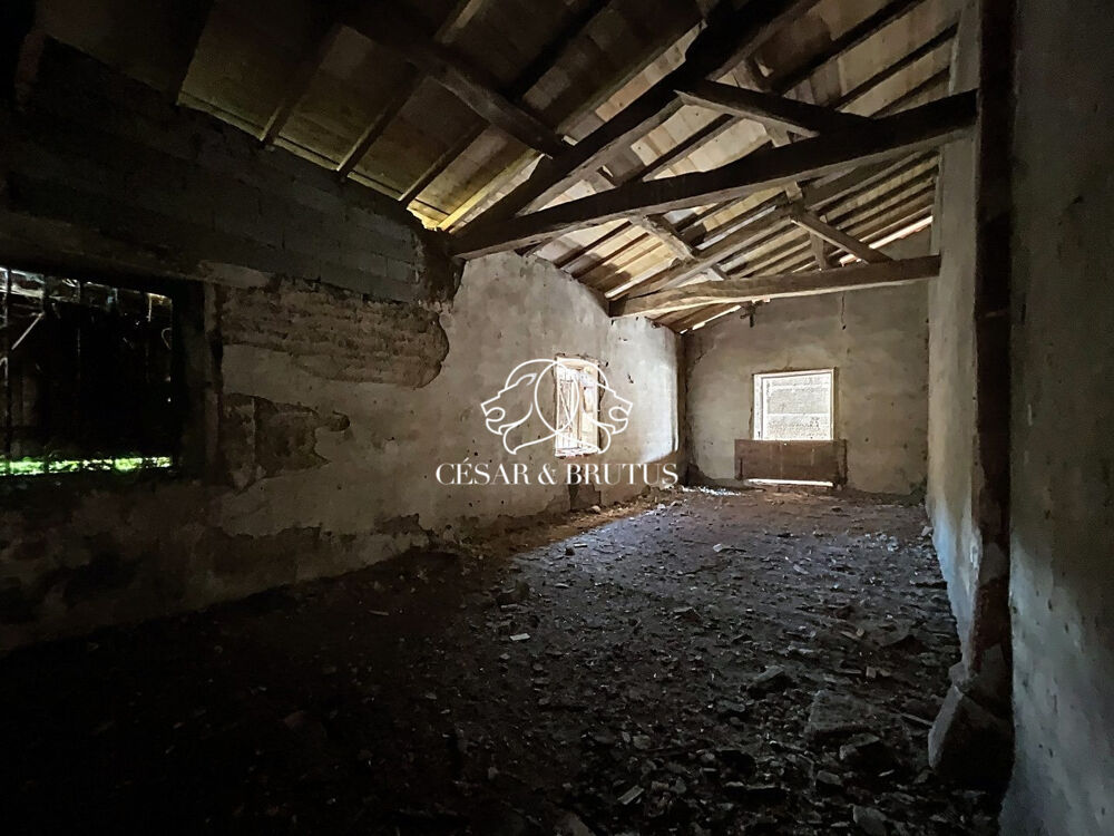 à vendre  Maison Nervieux (42510)