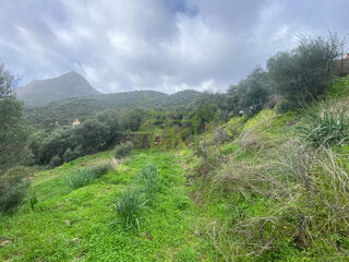  Terrain à vendre 